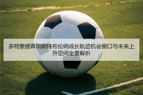 多特蒙德青训前锋布伦纳成长轨迹机会窗口与未来上升空间全景解析